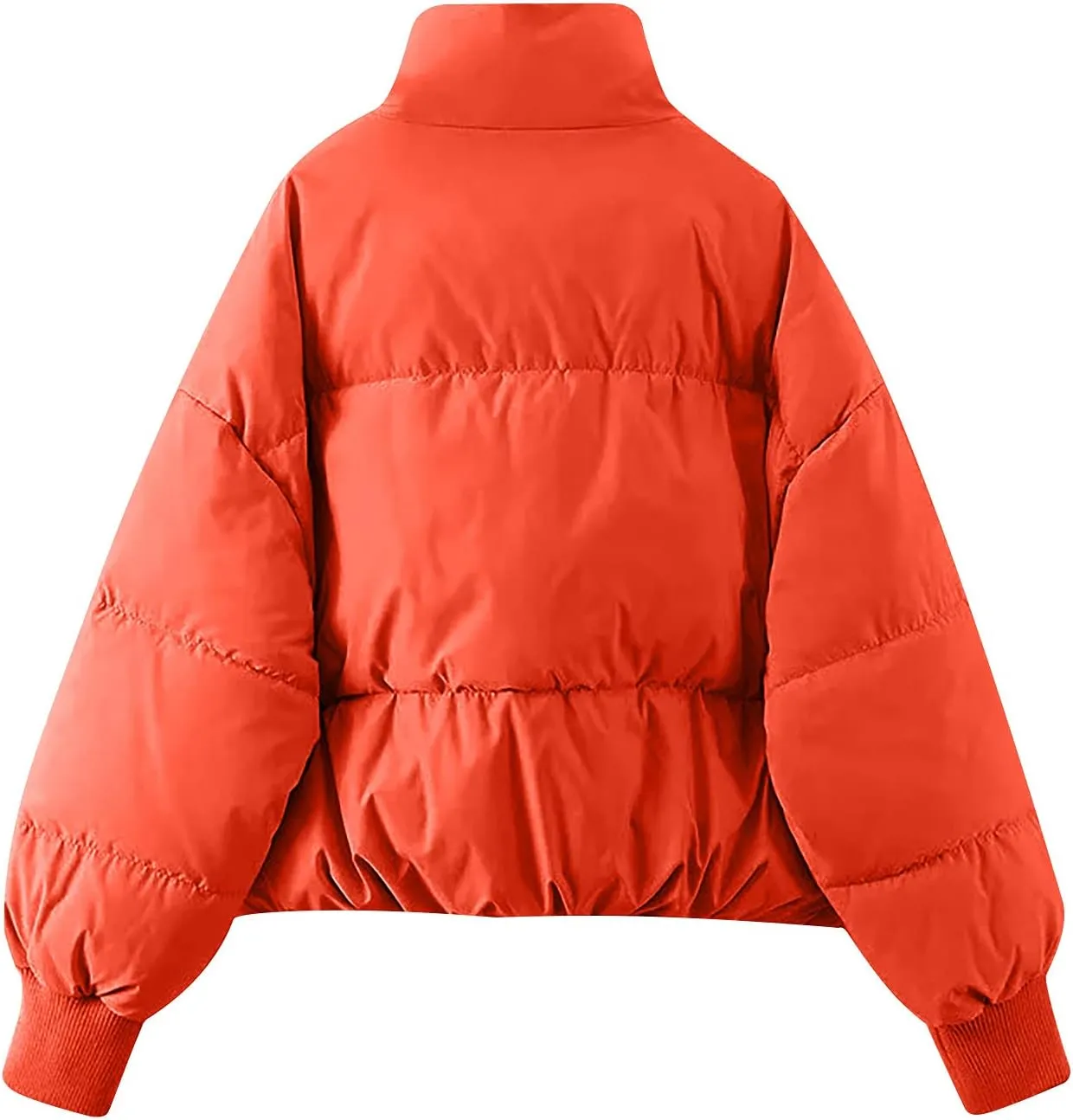 Women's Winter Puffer Coat Thicken Padded Down Jacket Outdoor Shearling Warm Quilted Casual Zipper 2024 Trendy Parka Outwear